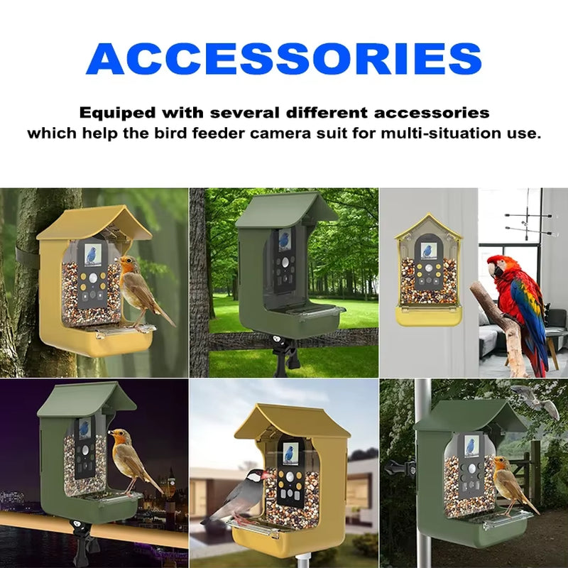 Newest Monitor Observe Birds Activity Eating Waterproof Designed Outdoor Smart Bird Feeder Camera with Camera
