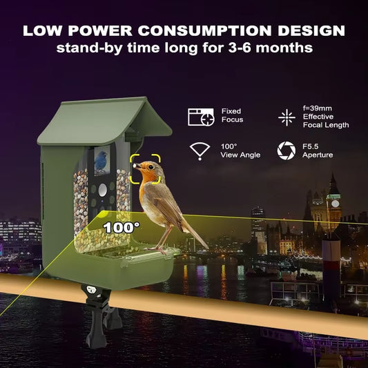 Newest Monitor Observe Birds Activity Eating Waterproof Designed Outdoor Smart Bird Feeder Camera with Camera