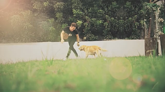 Cargar video: 